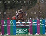 Vizzini Quinta Roo TosTour 2013- S5 7216 : Arezzo Equestrian Centre, Quinta Roo, Toscana Tour 2013, Vizzini Lucia, foto di Stefano Secchi ©